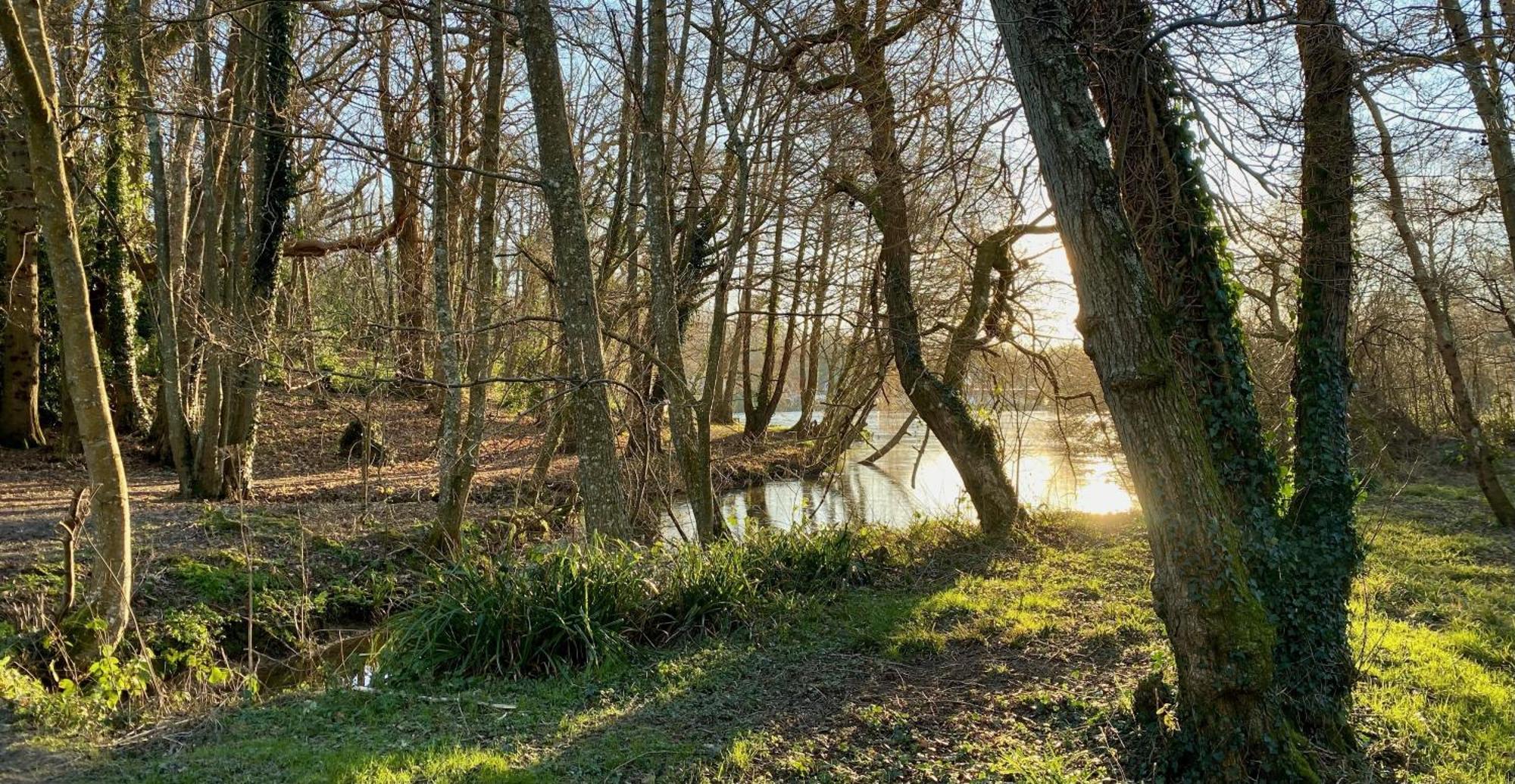 Powdermills Country House Hotel Battle Bagian luar foto