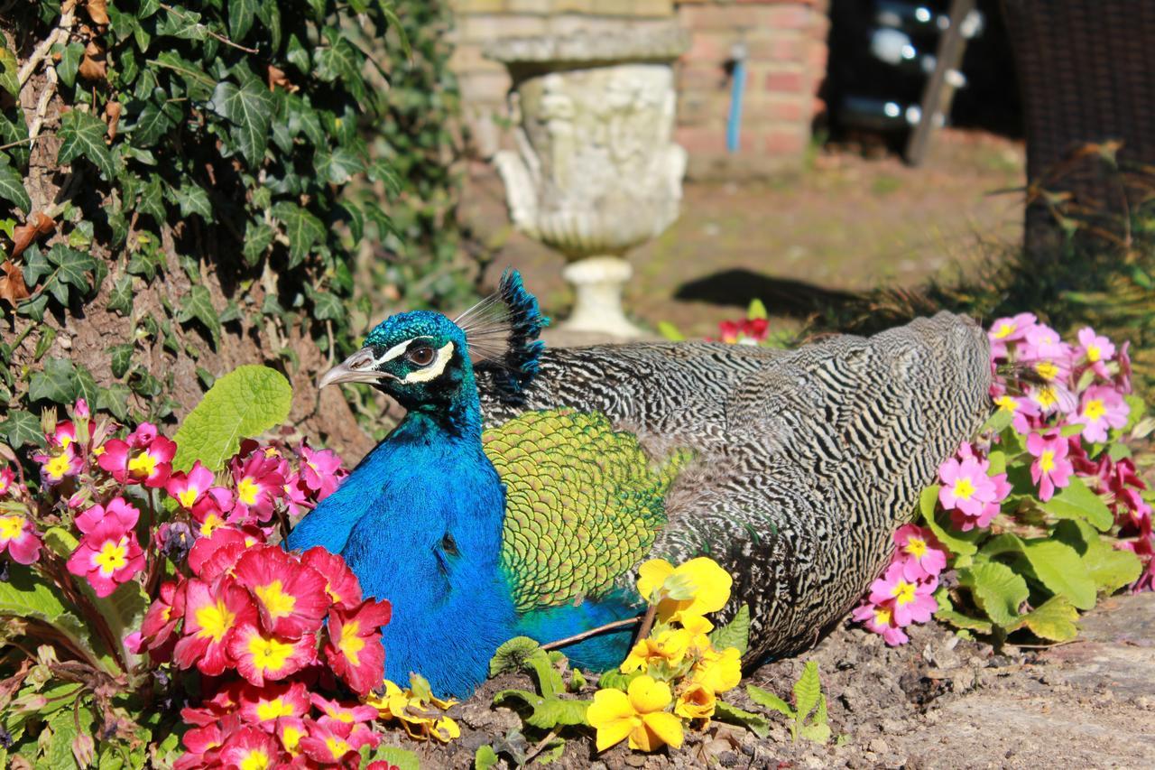 Powdermills Country House Hotel Battle Bagian luar foto